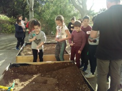 IMG_20171127_140422 IMG_20171127_140422