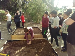 IMG_20171127_140429 IMG_20171127_140429