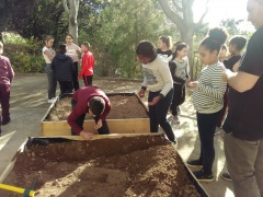 IMG_20171127_140434 IMG_20171127_140434