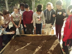 IMG_20171127_140540 IMG_20171127_140540