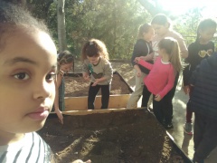 IMG_20171127_140704 IMG_20171127_140704