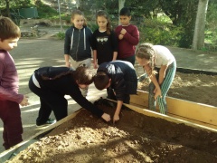 IMG_20171127_140734 IMG_20171127_140734