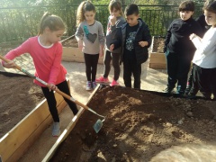 IMG_20171127_140858 IMG_20171127_140858