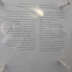 20171128_105418 20171128_105418