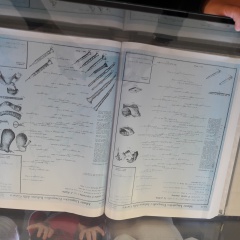 20171128_111601 20171128_111601