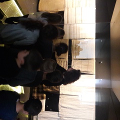 20171128_112927 20171128_112927