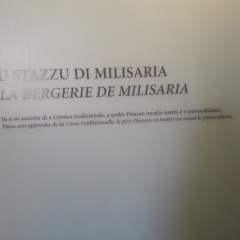 20171128_113502 20171128_113502