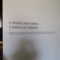 20171128_114503 20171128_114503