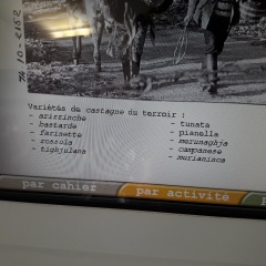 20171128_120408 20171128_120408