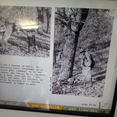 20171128_120416 20171128_120416