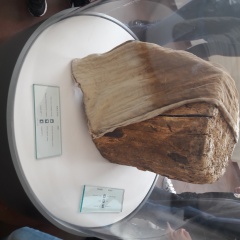 20171128_121636 20171128_121636