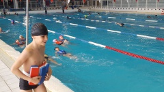 20171128_143153 20171128_143153