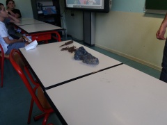 20180518_143128 20180518_143128