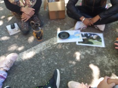 20180518_144741 20180518_144741