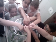 IMG_20180601_103134 IMG_20180601_103134