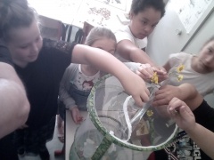 IMG_20180601_103147 IMG_20180601_103147