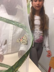 IMG-20180528-WA0001 IMG-20180528-WA0001