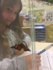 IMG-20180528-WA0006 IMG-20180528-WA0006