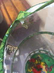 IMG-20180528-WA0014 IMG-20180528-WA0014