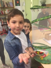 IMG-20180528-WA0018 IMG-20180528-WA0018