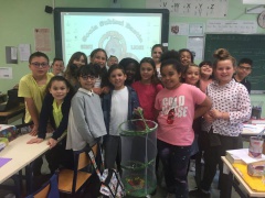 IMG-20180528-WA0022 IMG-20180528-WA0022