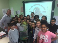 IMG-20180528-WA0025 IMG-20180528-WA0025