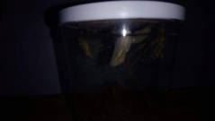 IMG-20180528-WA0033 IMG-20180528-WA0033