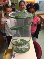 IMG-20180605-WA0008 IMG-20180605-WA0008