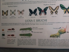 20180410_095810 20180410_095810