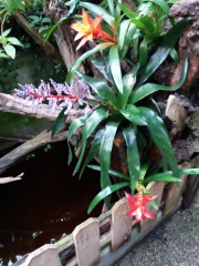 20180410_100629 20180410_100629