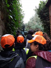 20180410_120209 20180410_120209