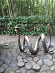 20180410_121248 20180410_121248