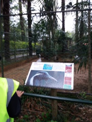 20180410_142143 20180410_142143