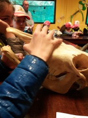 20180410_145636 20180410_145636