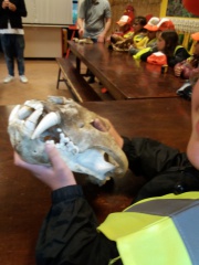 20180410_145849 20180410_145849