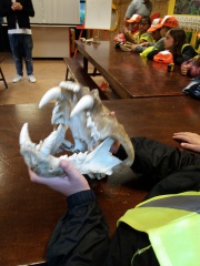 20180410_145853 20180410_145853