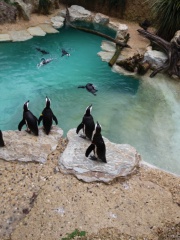 20180410_154906 20180410_154906