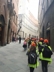 20180412_135354 20180412_135354