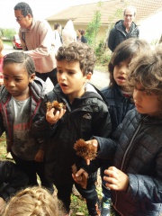 20181008_110707 20181008_110707