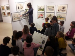 20181108_144636 20181108_144636