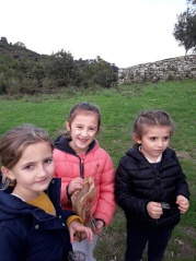 29.ricerca di u tesoru 29.ricerca di u tesoru