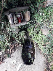 21. a surgente 21. a surgente