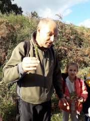 18. a nepita 18. a nepita