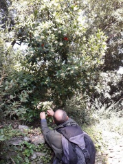 12.l'albitru 12.l'albitru