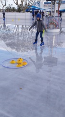 20181126_150823 20181126_150823