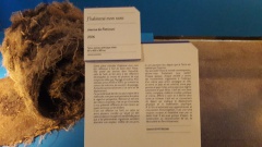 20181207_102335 20181207_102335