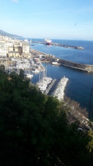 20181207_102410 20181207_102410