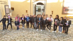 20181207_104908 20181207_104908