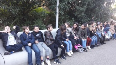 20181211_095223 20181211_095223