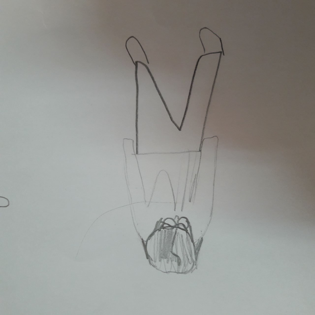 20190110_104845 20190110_104845